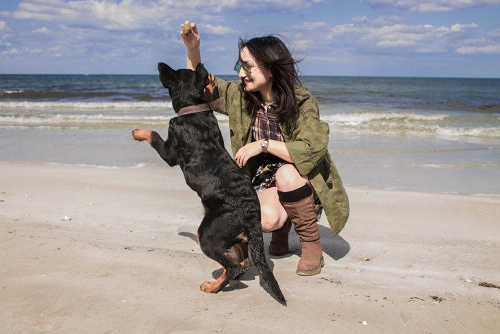 6 Things to be considered before traveling with your pet
