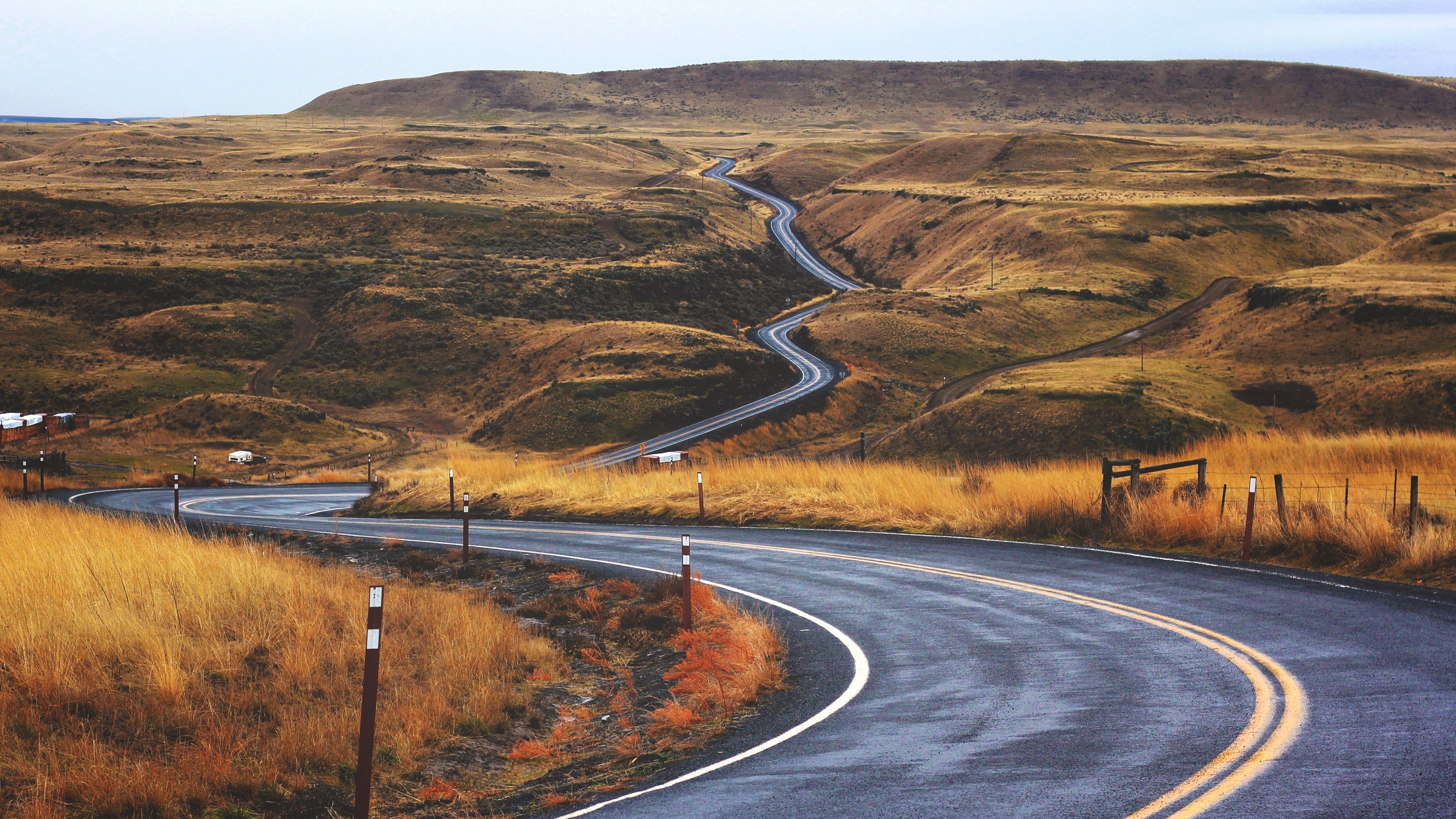 5 awesome places for a grand Saint Patrick’s Day