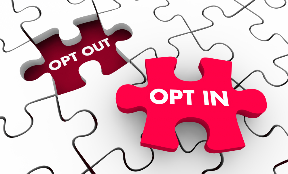 OPT (Optional Practical Training)