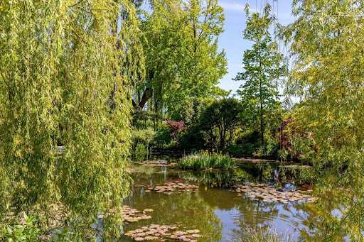 Stepping into a Masterpiece: A Visit to Monet’s Enchanting Garden in Giverny