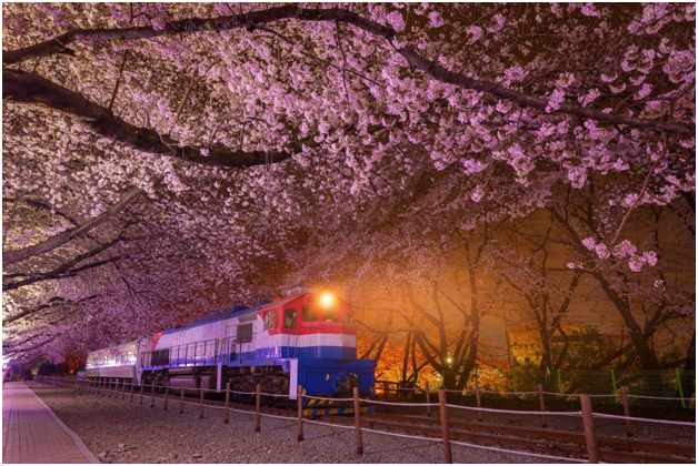 All Aboard! China’s New Trains Encourage Senior Travelers to Spend More!