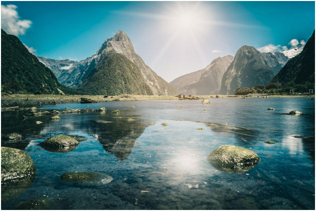 New Zealand’s Hidden Gem: The Crystal-Clear Waters of Rotomairewhenua