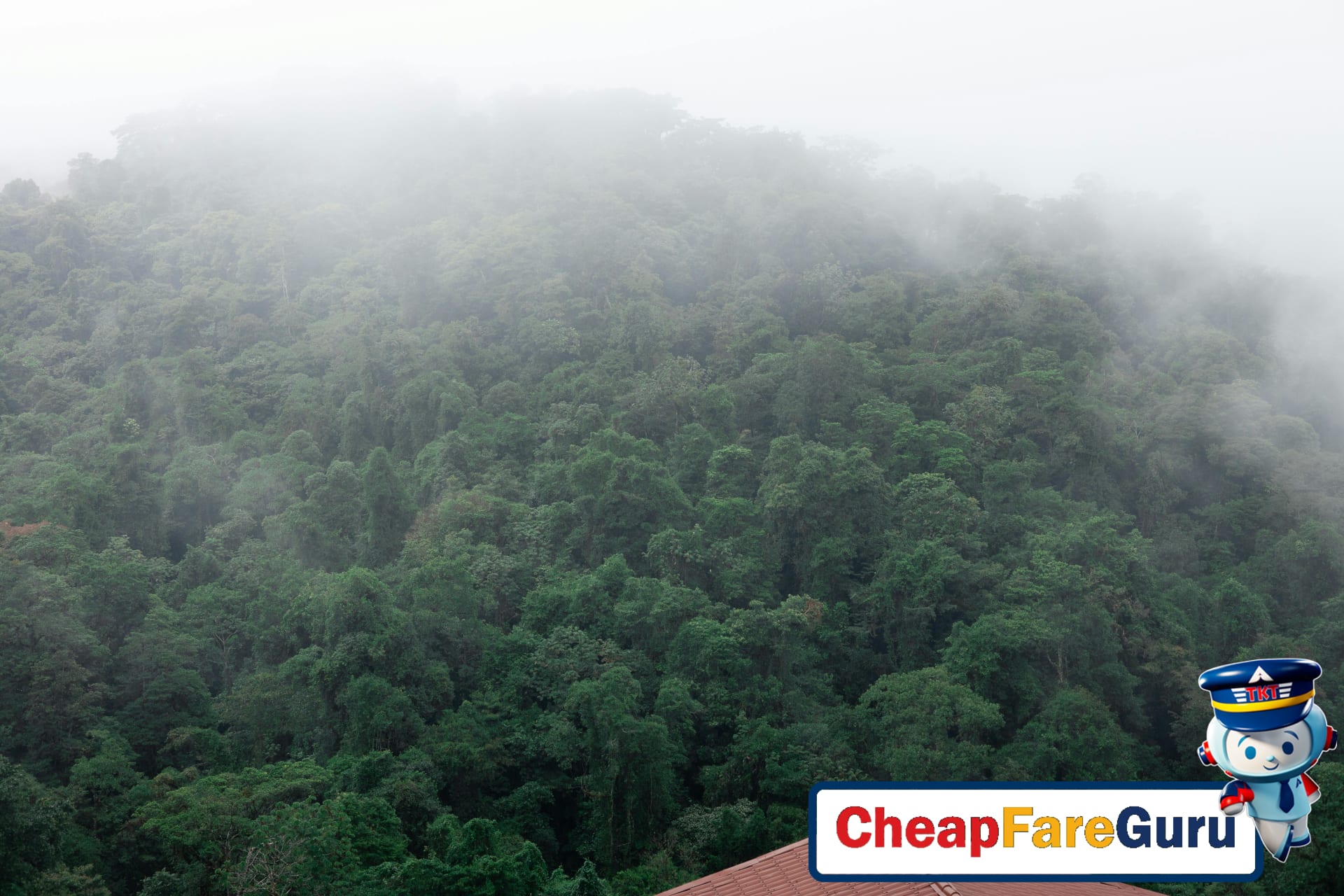 Costa Rica's Green Season: Why Rainy Season is Actually Great