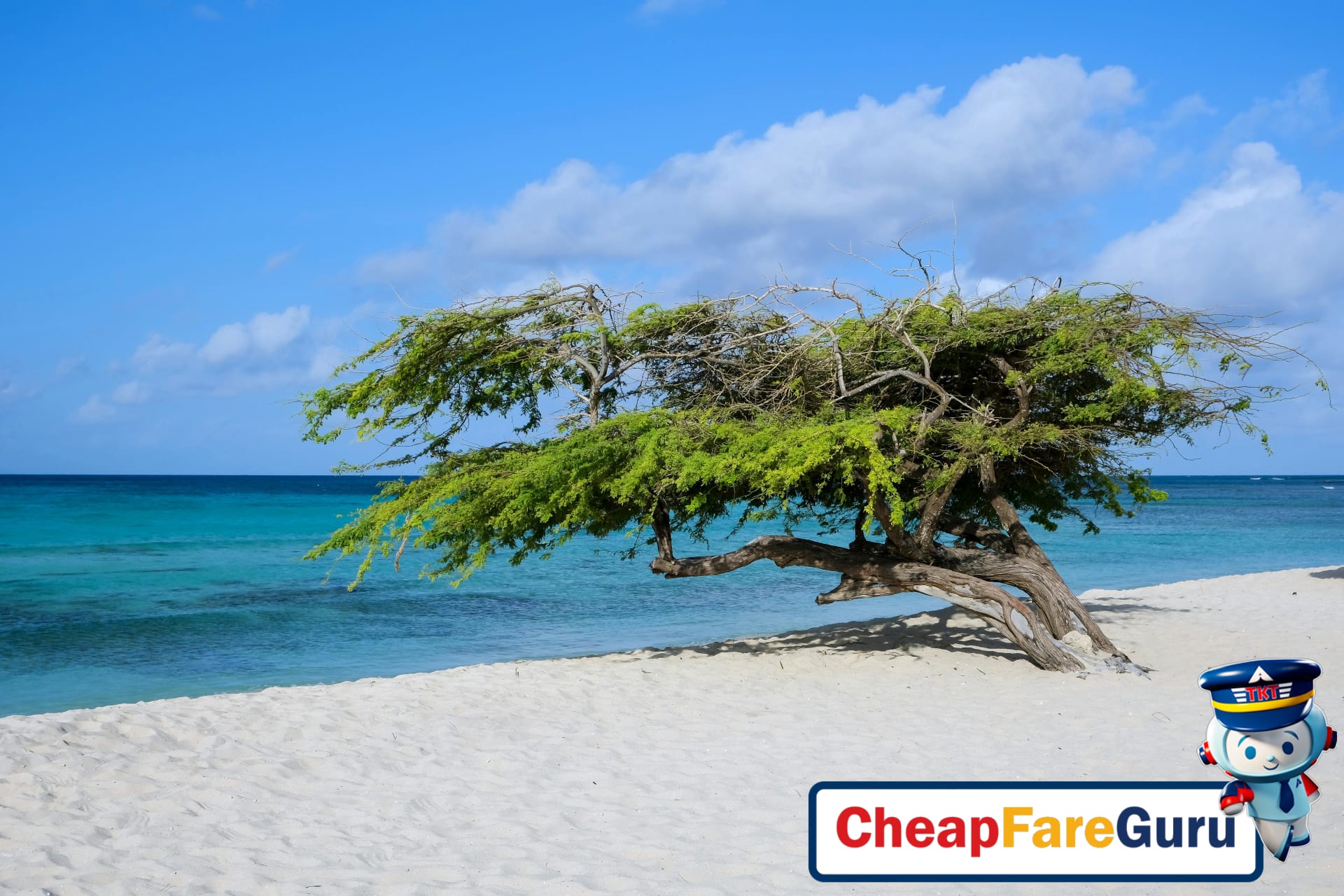 Aruba Beach Paradise: Where the Trade Winds Always Blow