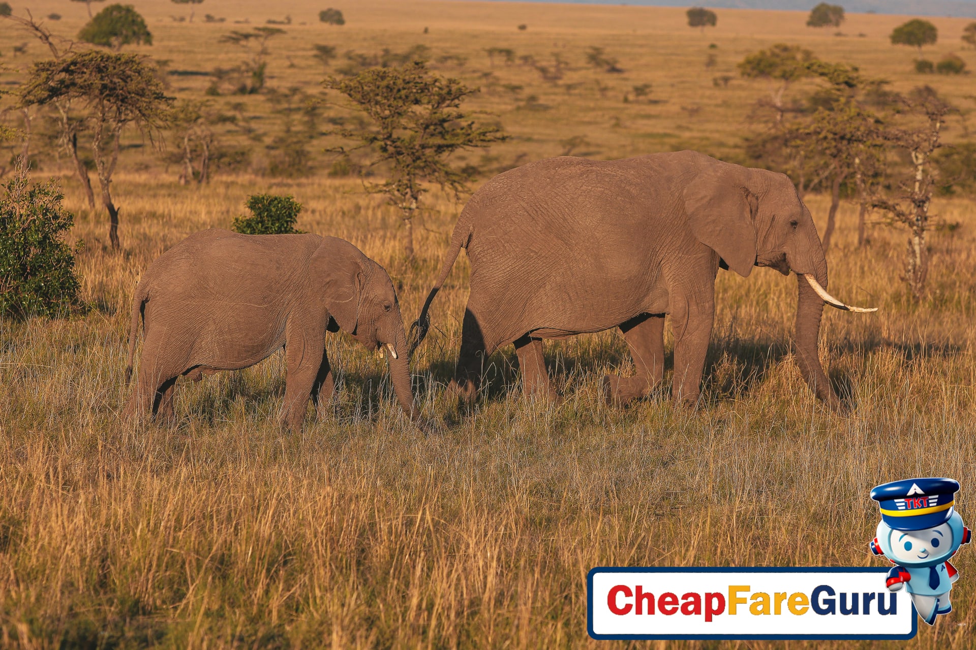 Africa Dry Season Safari: When and Where to See the Big Five