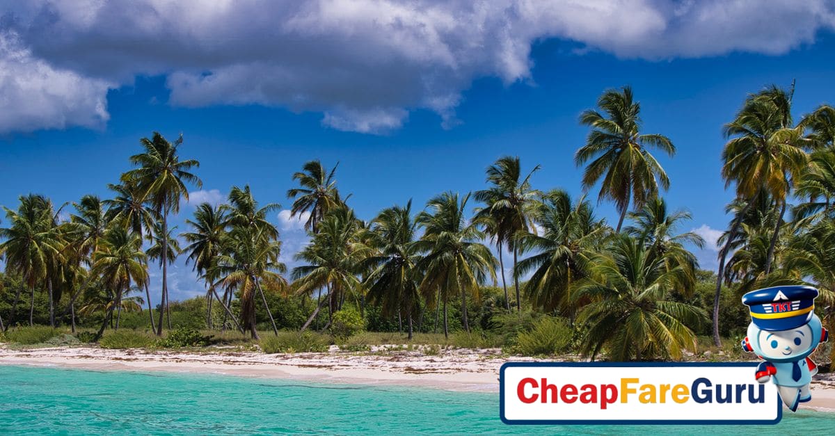 Bahamas Beach Paradise: From Nassau to the Swimming Pigs