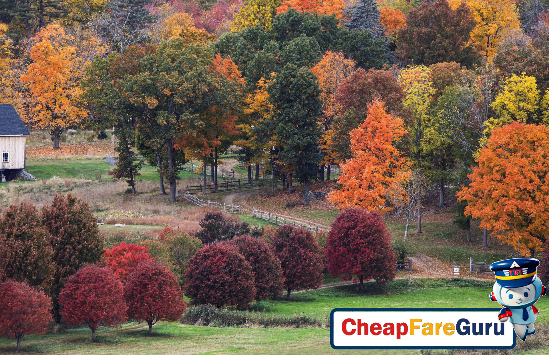 Fall Foliage in New England: Scenic Drives and Leaf-Peeping Towns